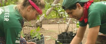 Two teenagers plant seedlings on their volunteer Conservation placement in Costa Rica. Projects Abroad volunteers planting seedlings during Conservation volunteering in Costa Rica for teenagers.